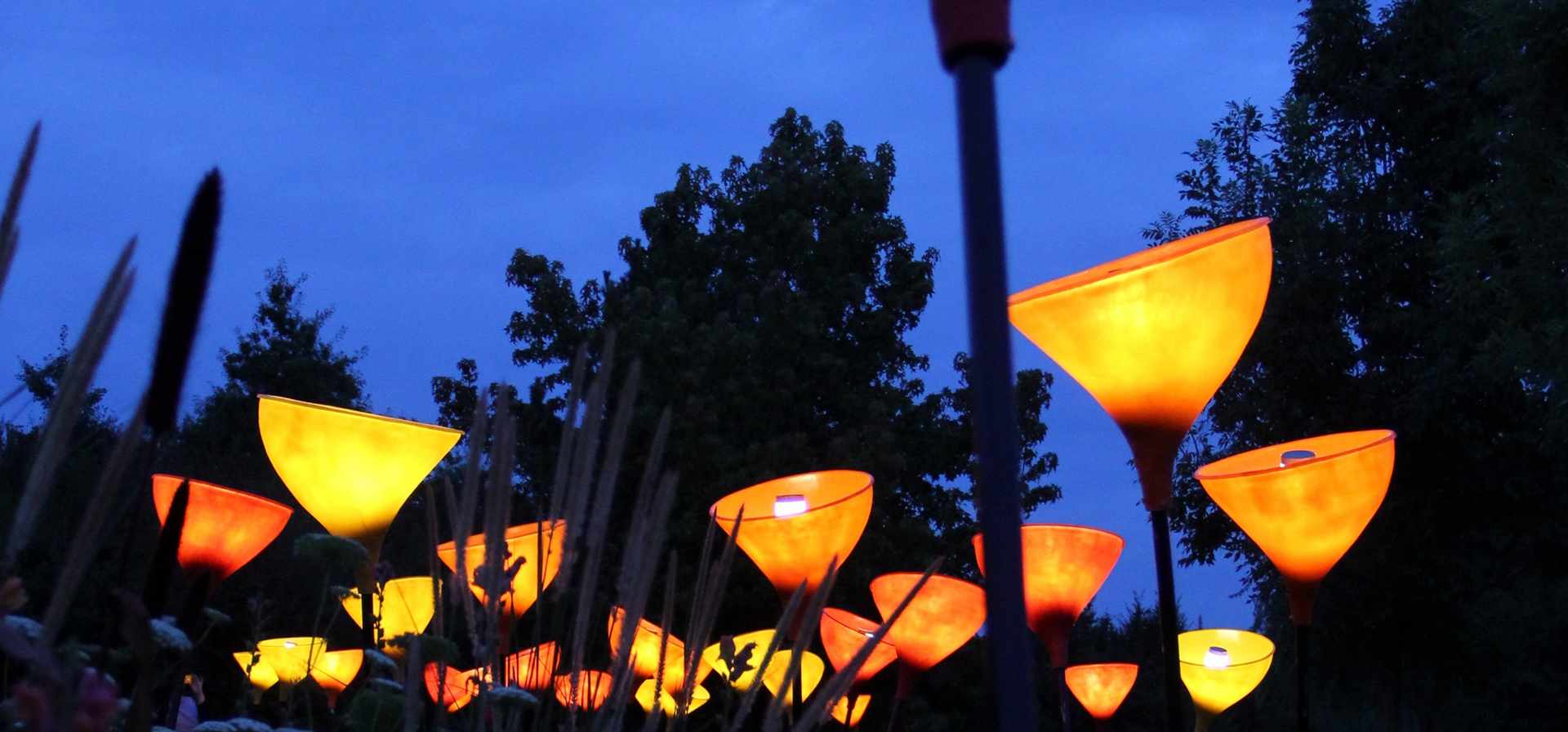 Illumination - Lichtzauber im Park